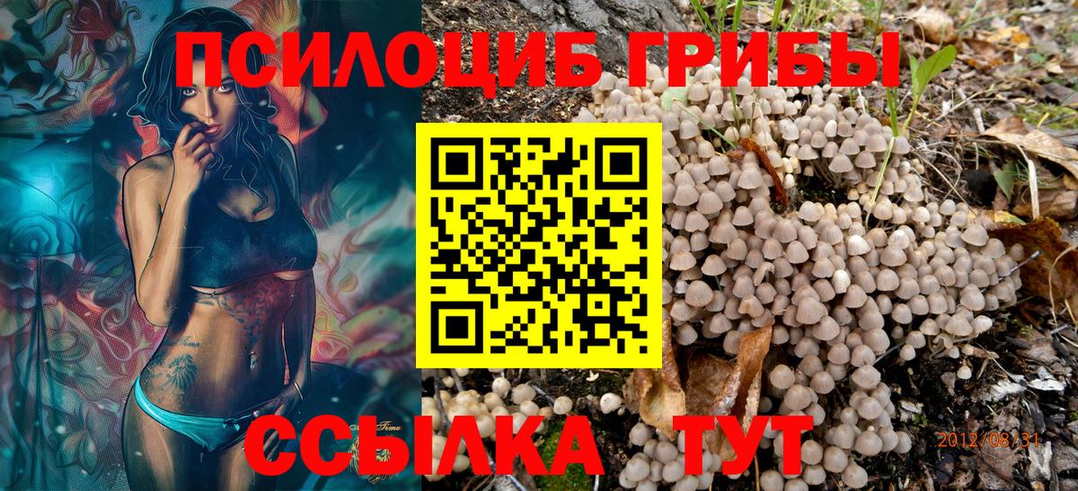 Галлюциногенные грибы мухоморы  Вход с VPN  Сафоново 