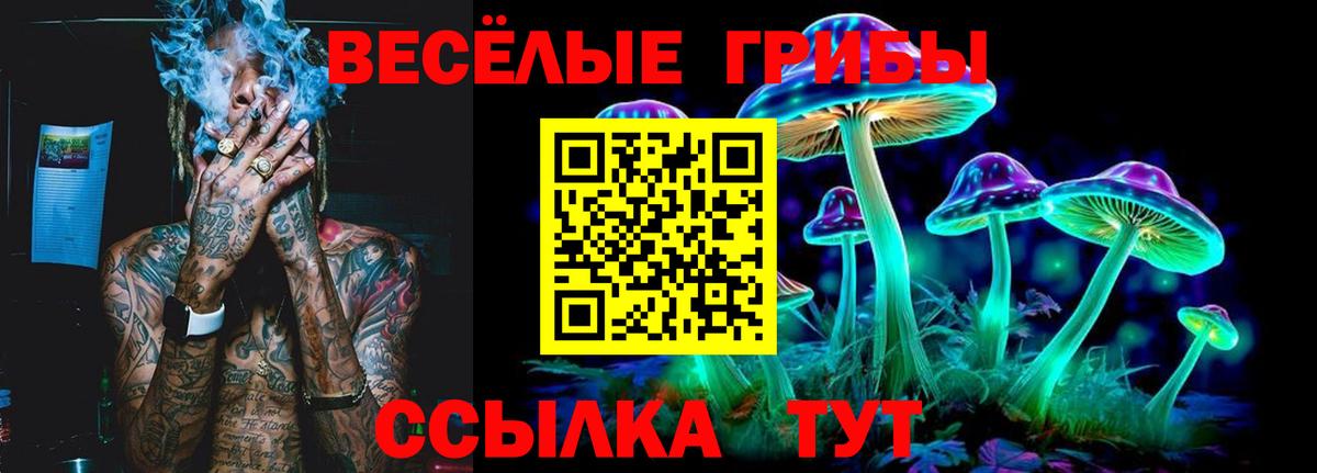 Псилоцибиновые грибы Magic Shrooms Сафоново